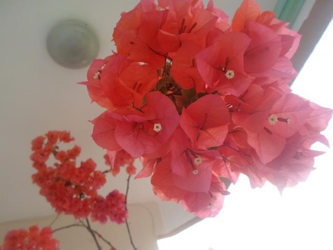 Name:  SAM_2021.jpg
Views: 1329
Size:  27.1 KB