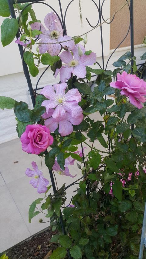 Name:  20160519_095835.jpg
Views: 590
Size:  78.3 KB