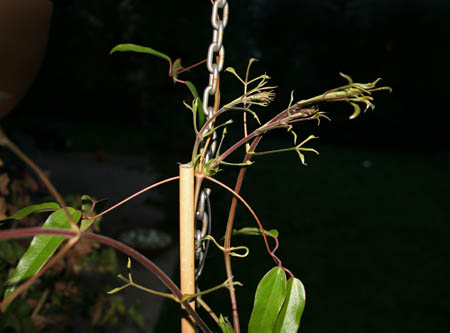 Name:  017.JPG
Views: 1135
Size:  47.8 KB