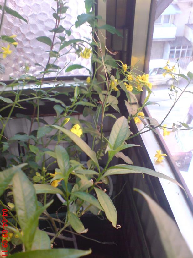 Name:  Resim(Ouzhan) 015.jpg
Views: 1202
Size:  71.6 KB
