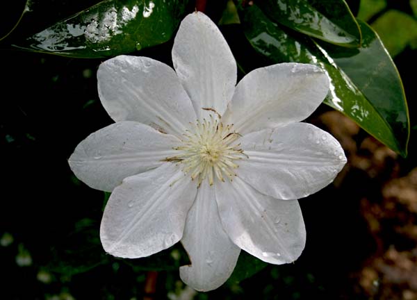 Name:  025.jpg
Views: 1469
Size:  55.3 KB