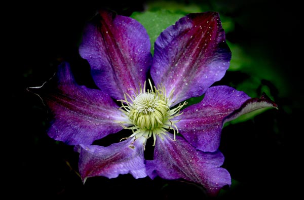 Name:  002.jpg
Views: 1201
Size:  58.1 KB