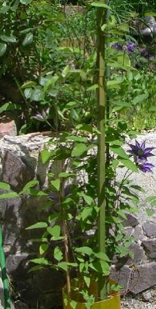 Name:  b.jpg
Views: 1725
Size:  30.7 KB
