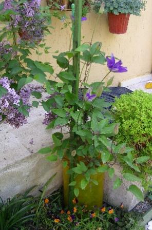Name:  c.jpg
Views: 1413
Size:  32.9 KB