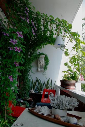 Name:  Balkon.jpg
Views: 10444
Size:  37.4 KB