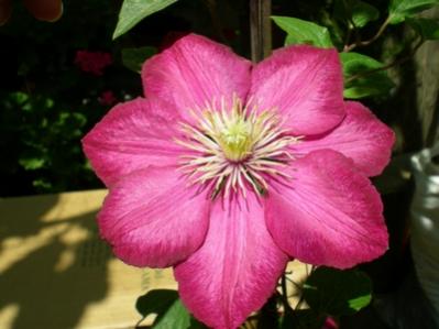 Name:  DSCN5932.jpg
Views: 1611
Size:  19.7 KB