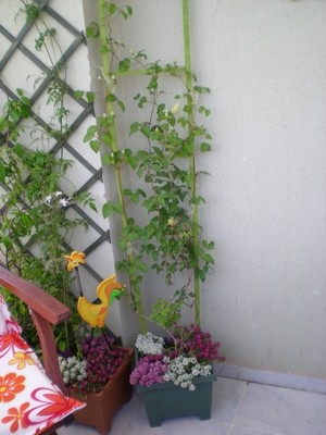 Name:  DSCN5940.jpg
Views: 1336
Size:  49.8 KB