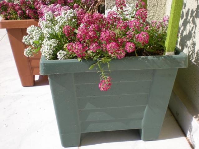 Name:  DSCN6068.jpg
Views: 1653
Size:  47.4 KB