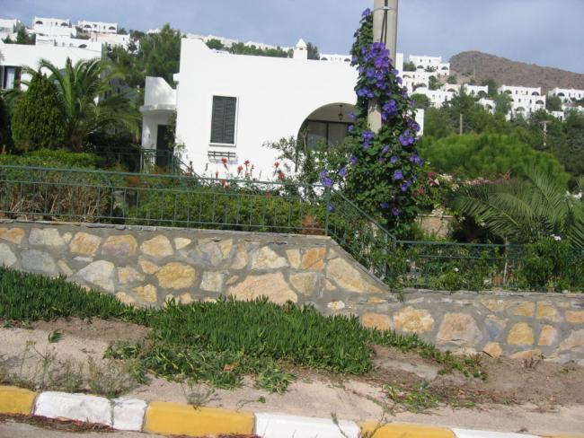 Name:  Picture 028.jpg
Views: 1151
Size:  65.6 KB