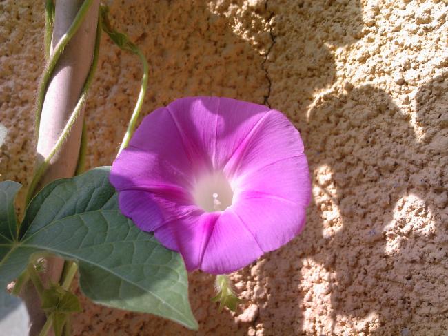 Name:  TEMMUZ 2009-00002.jpg
Views: 983
Size:  60.3 KB