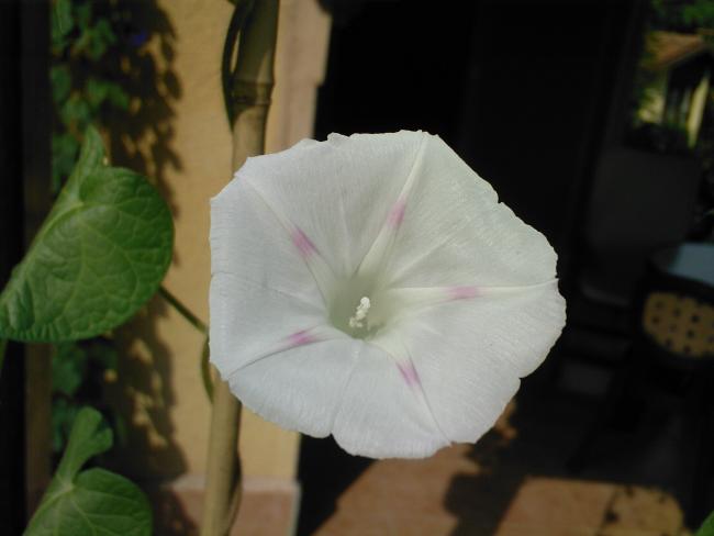 Name:  TEMMUZ 2009-00003.jpg
Views: 962
Size:  24.8 KB