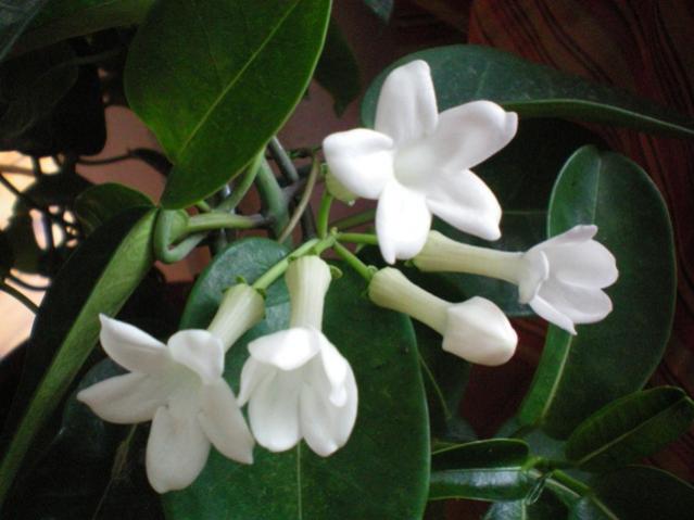 Name:  000_0003.jpg
Views: 3665
Size:  35.8 KB