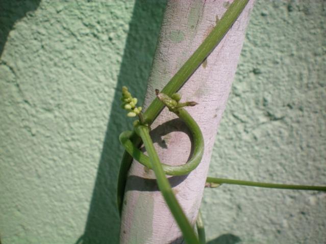 Name:  000_0004.jpg
Views: 768
Size:  40.1 KB