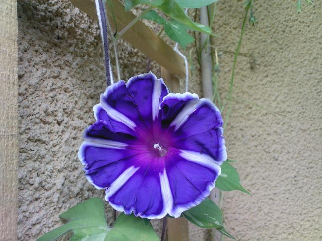 Name:  AUSTOS  2009-0004.jpg
Views: 883
Size:  58.1 KB