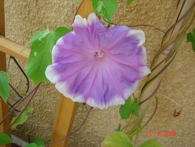 Name:  DSC06999.jpg
Views: 849
Size:  47.3 KB