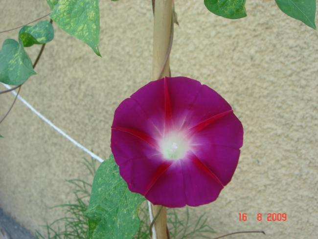 Name:  DSC07161.jpg
Views: 852
Size:  36.1 KB