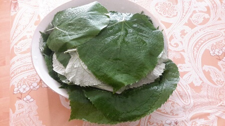 Name:  Ihlamur yapra.jpg
Views: 651
Size:  60.2 KB