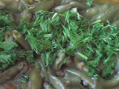 Name:  Photo-0148 copy.jpg
Views: 1298
Size:  40.6 KB