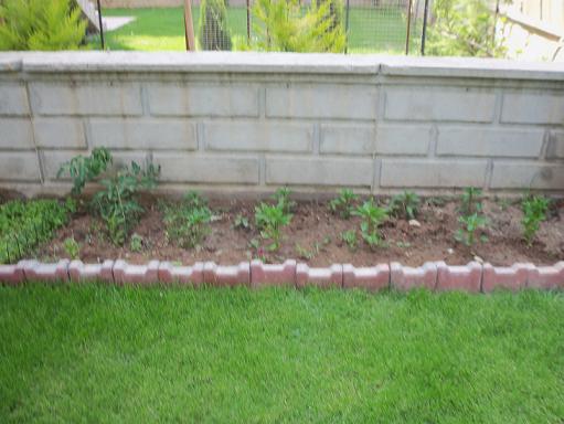 Name:  Resim 018.jpg
Views: 4209
Size:  61.2 KB