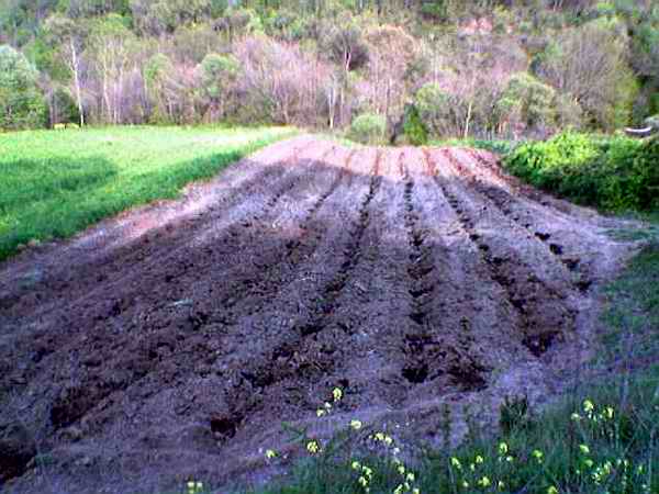 Name:  61.jpg
Views: 5865
Size:  37.8 KB