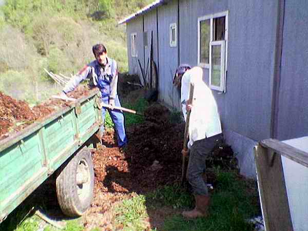 Name:  7.jpg
Views: 5879
Size:  30.9 KB