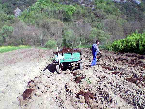 Name:  8.jpg
Views: 5887
Size:  44.7 KB