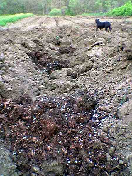 Name:  92.jpg
Views: 5853
Size:  52.7 KB