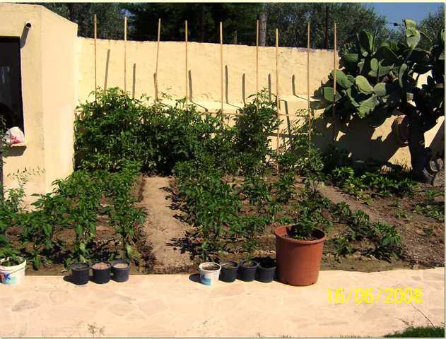 Name:  2008.jpg
Views: 2715
Size:  49.1 KB