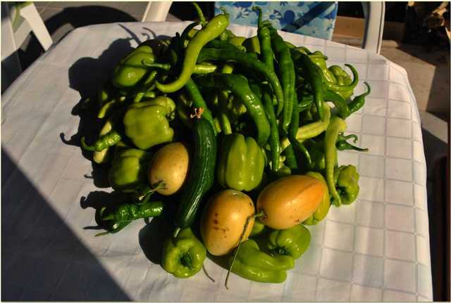 Name:  lk Hasat.jpg
Views: 2722
Size:  29.9 KB