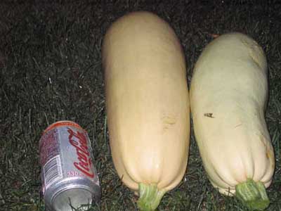 Name:  24TEMMUZ 006.JPG
Views: 2111
Size:  53.1 KB