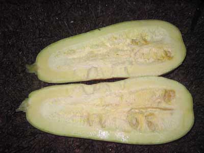 Name:  24TEMMUZ 009.JPG
Views: 2147
Size:  48.6 KB
