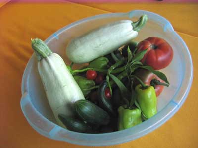 Name:  27Temmuz 018.JPG
Views: 2122
Size:  48.9 KB