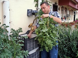 Name:  BahcePatates-90.JPG
Views: 15401
Size:  31.6 KB