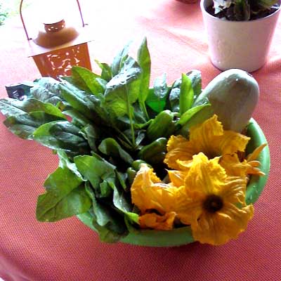 Name:  Photo-0001.jpg
Views: 1373
Size:  64.5 KB
