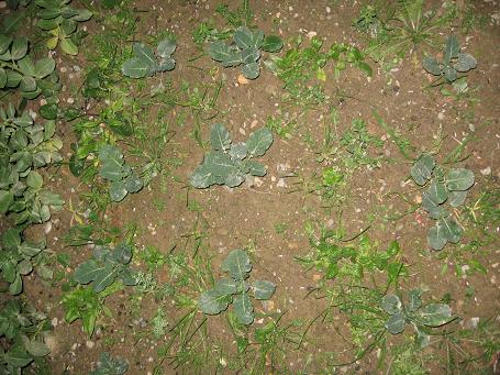 Name:  Resim 004.jpg
Views: 1766
Size:  55.7 KB