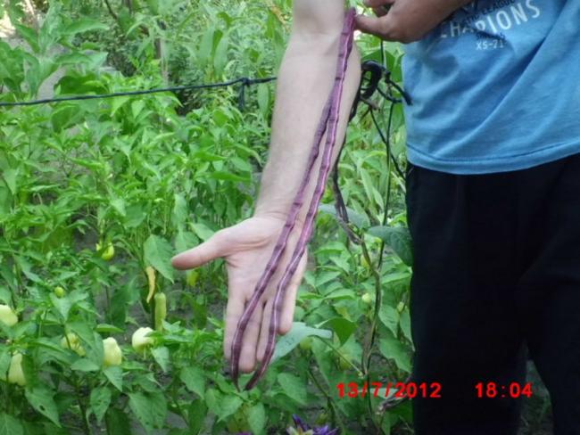 Name:  CIMG2347 (Kopyala).jpg
Views: 8752
Size:  53.9 KB
