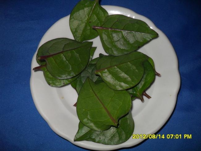 Name:  071.jpg
Views: 1827
Size:  35.8 KB