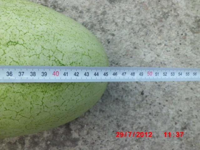 Name:  CIMG2532.jpg
Views: 1863
Size:  43.8 KB