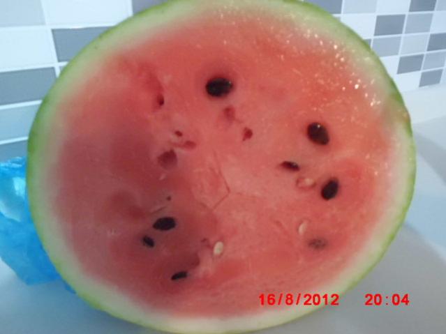 Name:  CIMG2557.jpg
Views: 1827
Size:  23.6 KB