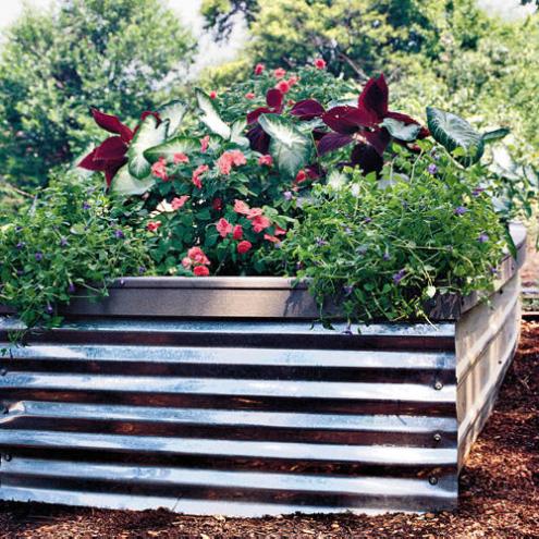 Name:  easy-raised-bed-x.jpg
Views: 2252
Size:  68.9 KB