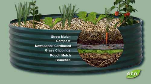 Name:  raised-garden-bed.jpg
Views: 3345
Size:  36.9 KB