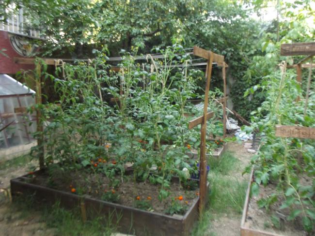 Name:  DSCF2918.jpg
Views: 1871
Size:  68.8 KB