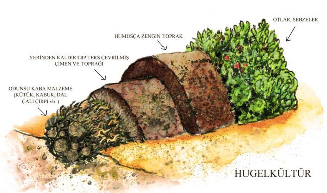 Name:  hugelkltr - Kopya.jpg
Views: 4921
Size:  47.9 KB