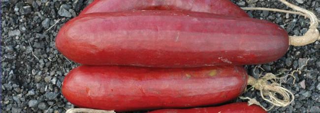 Name:  melocoton-or-cassabanana-750.jpg
Views: 917
Size:  30.1 KB