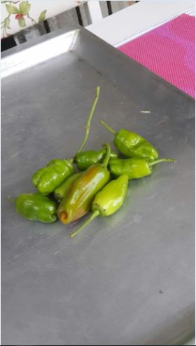 Name:  ab.JPG
Views: 891
Size:  23.8 KB