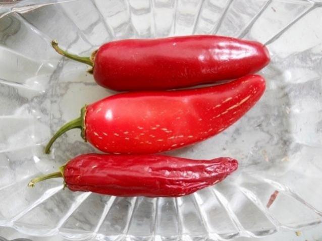 Name:  jalapeno 25 ekim 2013.jpg
Views: 14344
Size:  37.9 KB