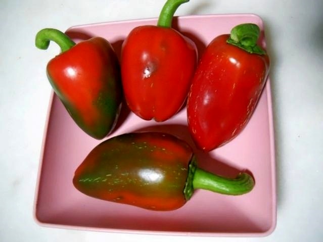 Name:  pimento L. (2).jpg
Views: 12748
Size:  45.1 KB