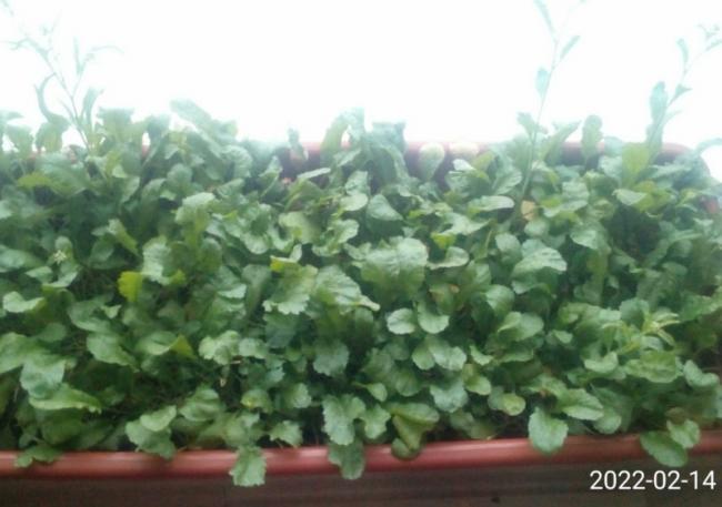 Name:  11420228247.jpg
Views: 228
Size:  36.9 KB