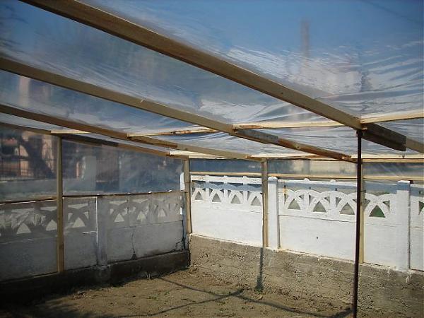 Name:  DSCN1121N.jpg
Views: 17550
Size:  46.4 KB