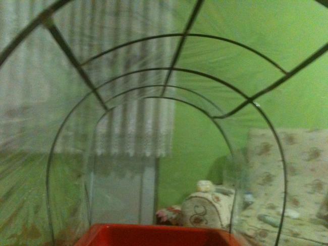Name:  TUTANAK 077.jpg
Views: 2372
Size:  34.6 KB